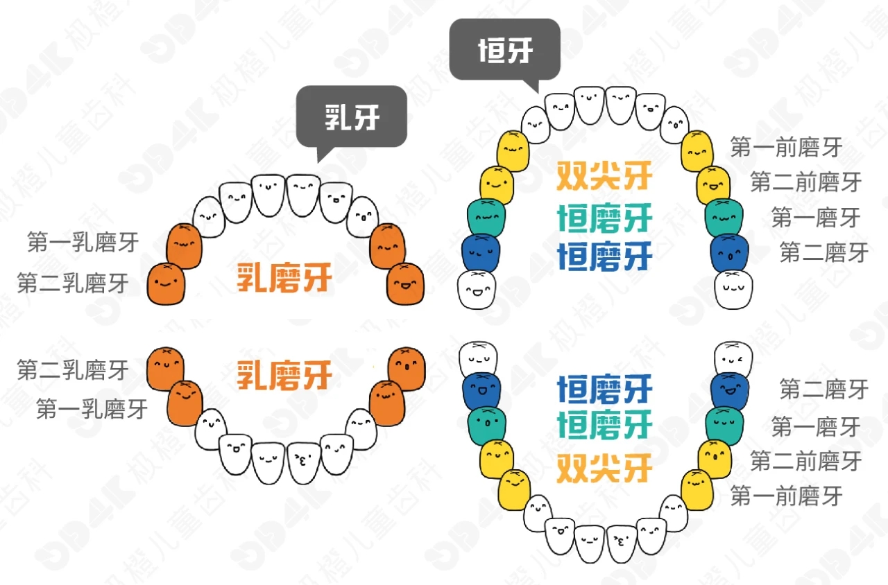 微信图片_20210113144552.jpg