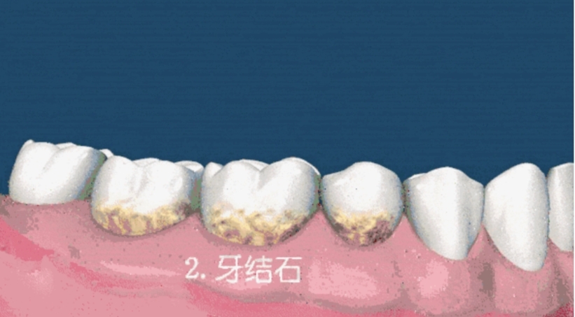 微信图片_20210531222642.jpg