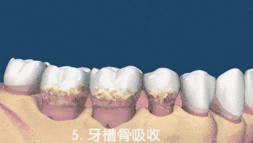 微信图片_20210531222623.jpg